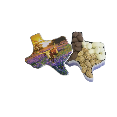 TEXAS SHAPED TIN